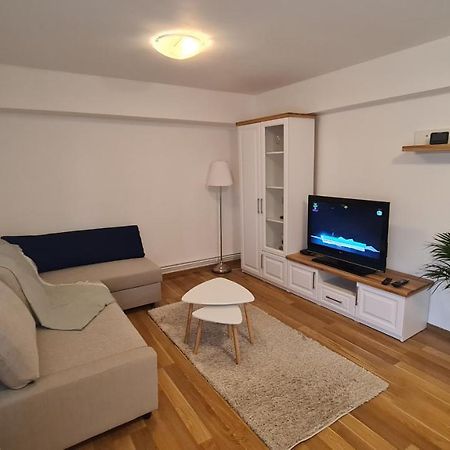 Vs Central Apartment Otopeni Bagian luar foto