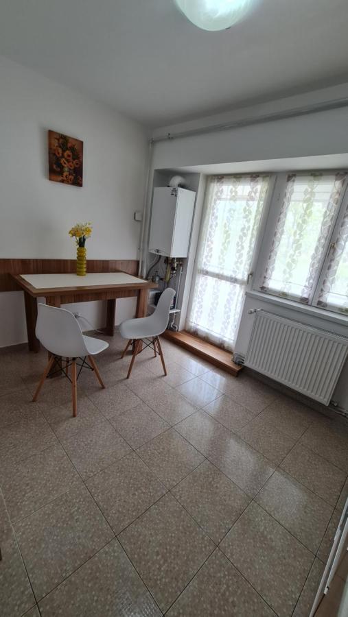Vs Central Apartment Otopeni Bagian luar foto