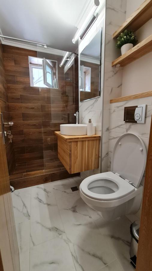 Vs Central Apartment Otopeni Bagian luar foto